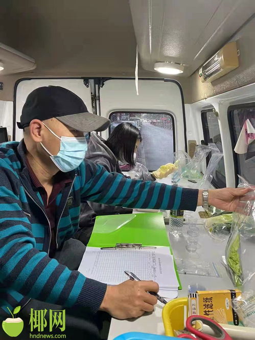 春節期間,?？跈z查各類市場主體1800余家次